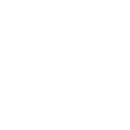 SEO icon